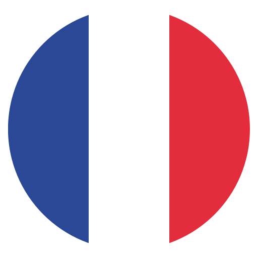 French - Beginner